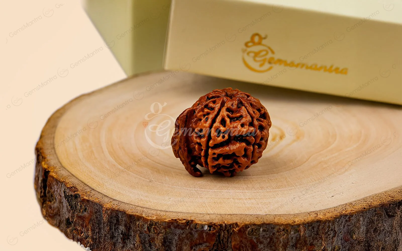 Natural Ganesha Rudraksha - Image 4