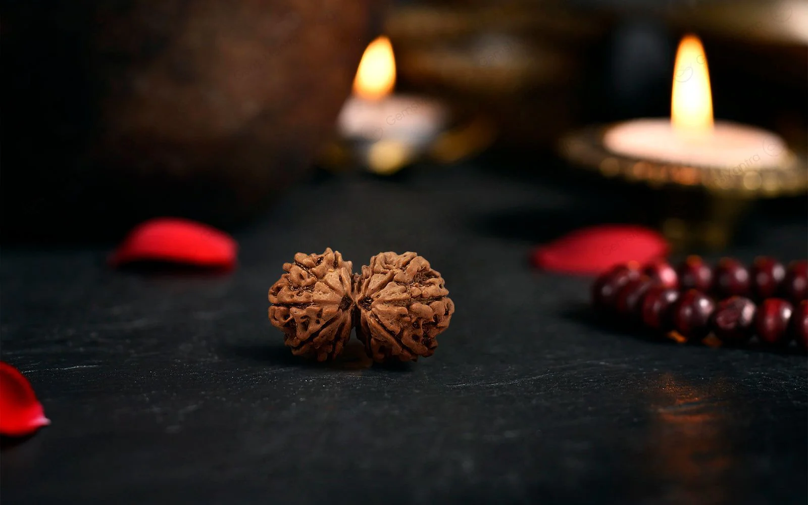 Natural Gauri Shankar Rudraksha - Image 3