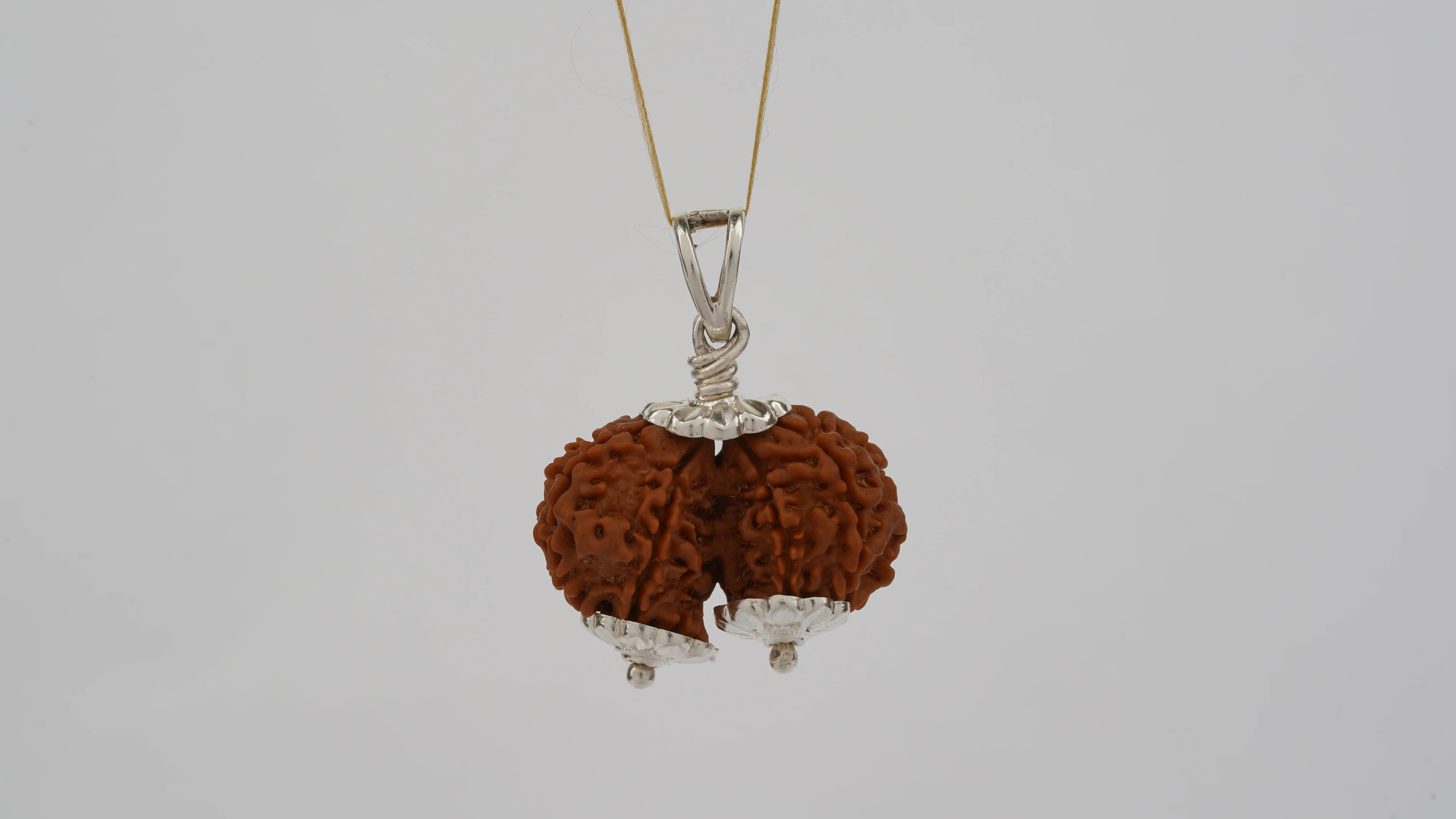 Natural Gauri Shankar Rudraksha - Image 5