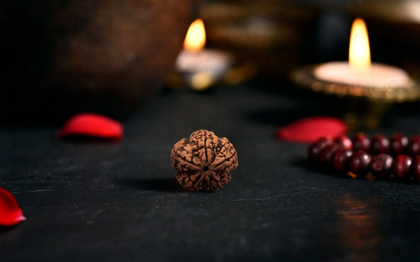 Natural 5 Mukhi Rudraksha (Nepali) - Image 3